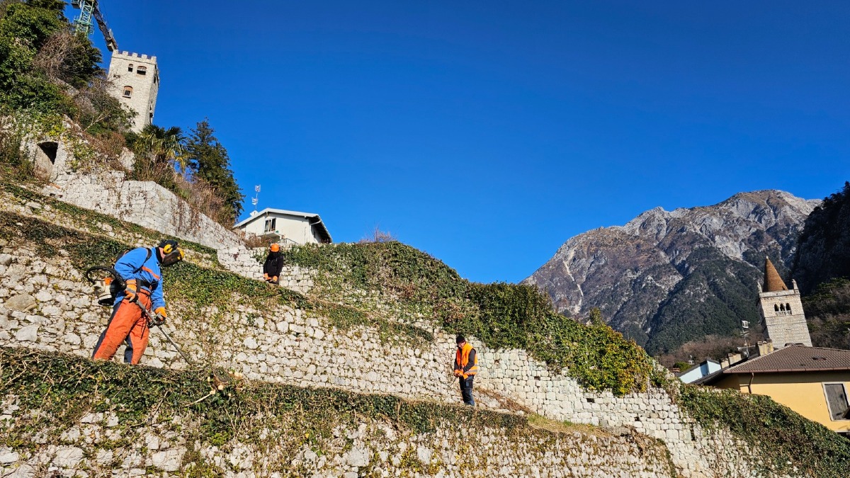 Lavori forestali da Gemona a Buja: Regione FVG e Comuni uniti per la tutela del territorio - 