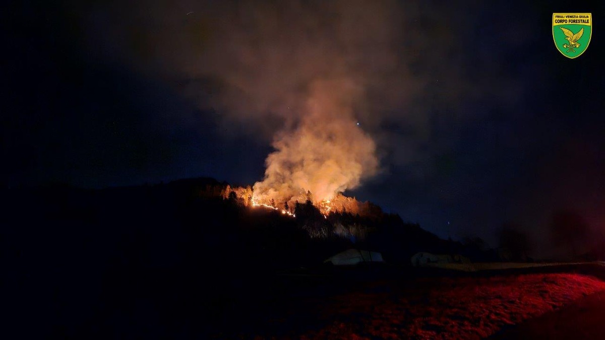 Incendio boschivo a Tolmezzo: 11 ettari in fumo | FOTO e VIDEO - 