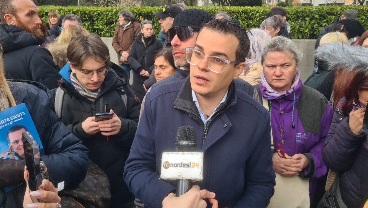 Pepe lanciato da 4 metri e morto: sit-in a Udine raccontato in diretta su Nordest24 | VIDEO - 
