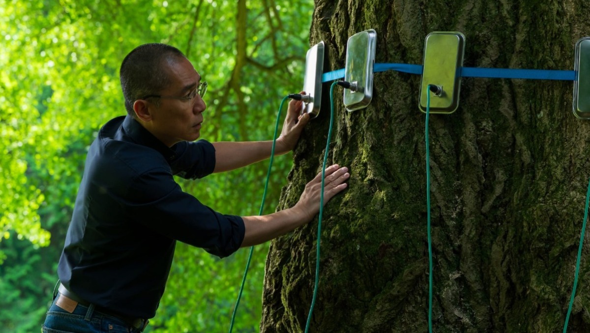Ildikó Enyedi premiata al Trieste Film Festival: l’Eastern Star Award 2026 - 