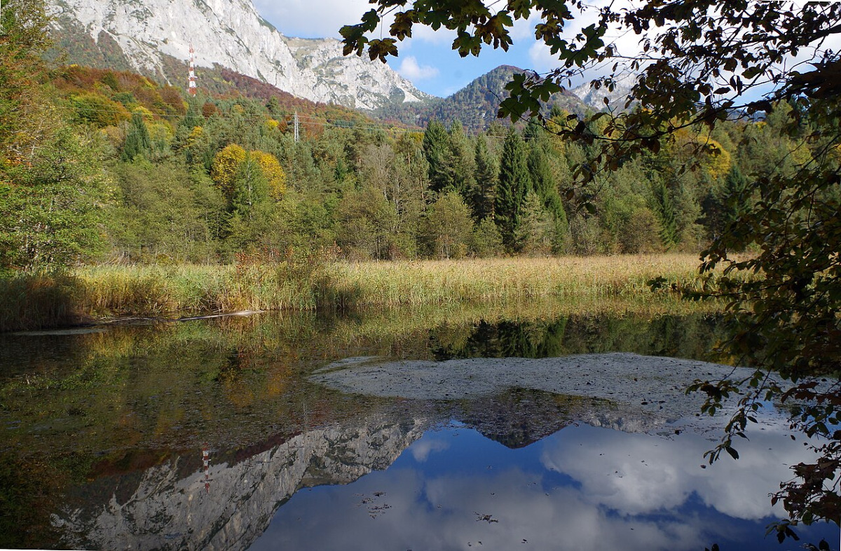 Palude di Cima Corso: il luogo dove il Friuli ha deciso di non prosciugare tutto - Foto: Anne-Marie Dufour/Wikipedia
