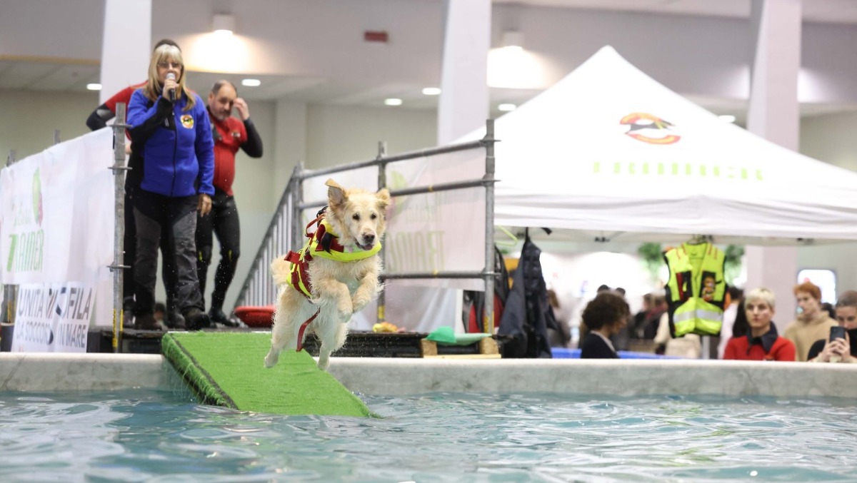 Quattrozampeinfiera arriva a Padova: due giorni dedicati a cani, gatti e pet lovers - 