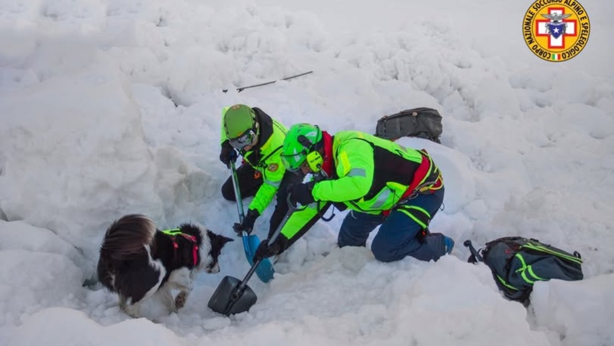 Valanga a Sella Nevea, paura per un gruppo di sciatori  - 