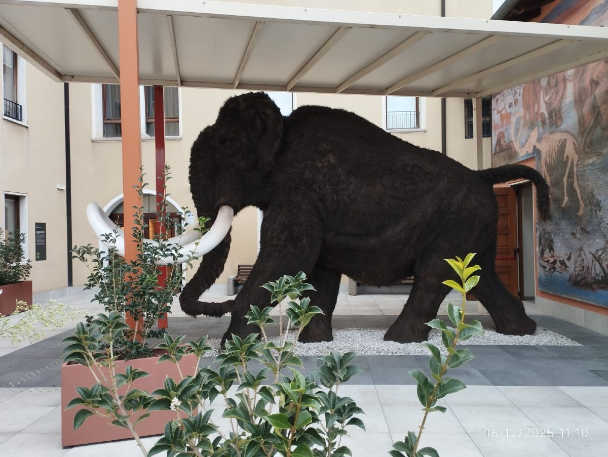 Febbraio nei Musei Civici di Pordenone: tutto il programma tra mostre, visite guidate e Carnevale - 