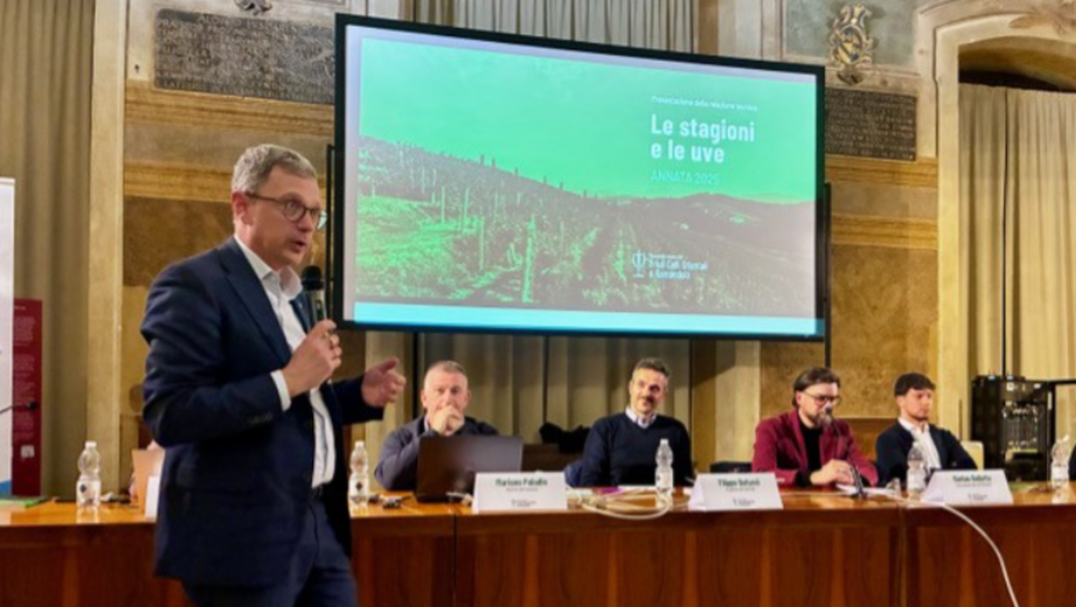 “Le Stagioni e le Uve” 2025: dati, analisi e il chatbot Doc al servizio dei produttori friulani - 