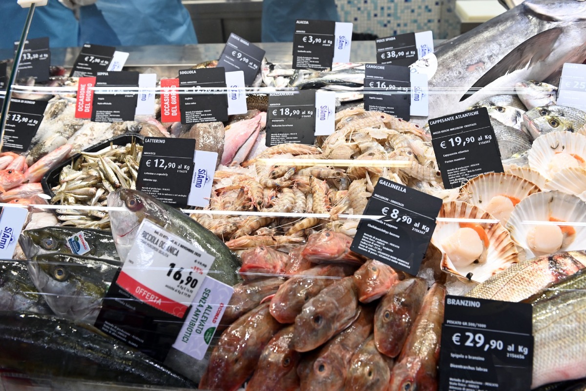 Riapre il Conad di Valdobbiadene: banco pescheria rinnovato e nuove offerte gastronomiche - 