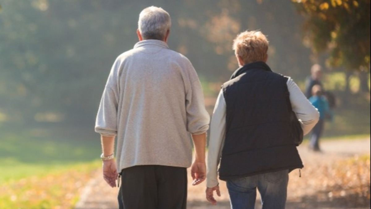 Truffe agli anziani: a Udine un progetto di formazione e sicurezza per il 2026 - 