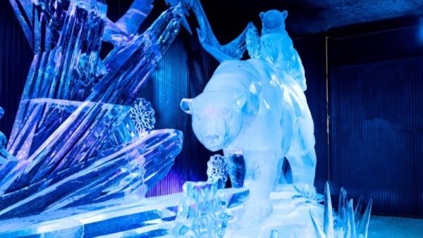 Jesolo Sand Nativity e Presepe di Ghiaccio: fondi destinati a 21 progetti di solidarietà