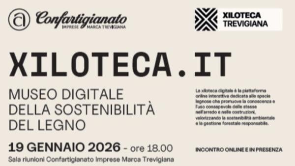 A Treviso nasce il primo museo digitale del legno sostenibile: ecco Xiloteca.it