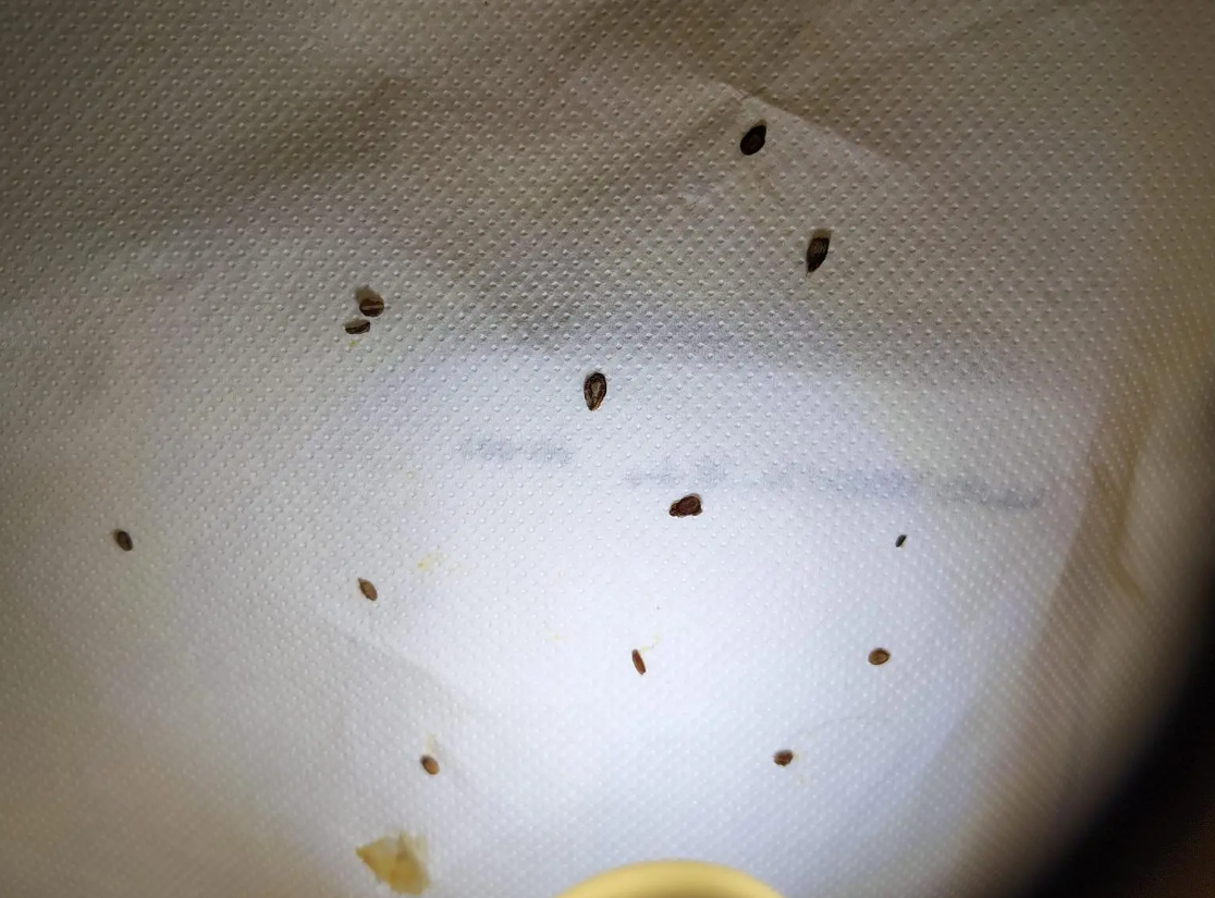 Le immagini circolate tra i genitori della scuola