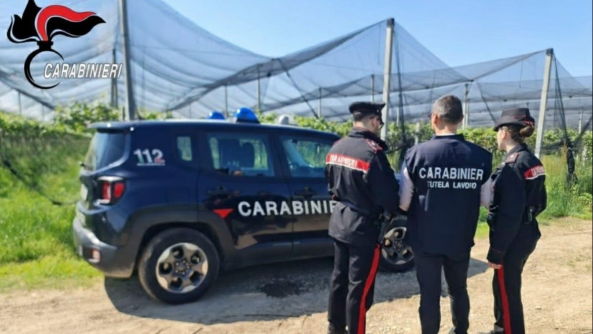 Controlli sul lavoro in Friuli Occidentale: ecco tutte le irregolarità rilevate dal NIL - 