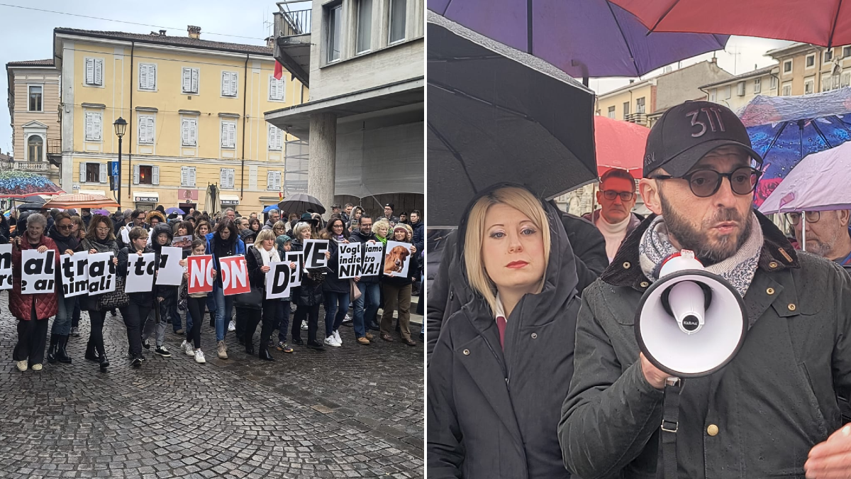 Nina, la pioggia non ferma la protesta: in 300 in piazza a chiedere giustizia per la cagnolina | FOTO - 