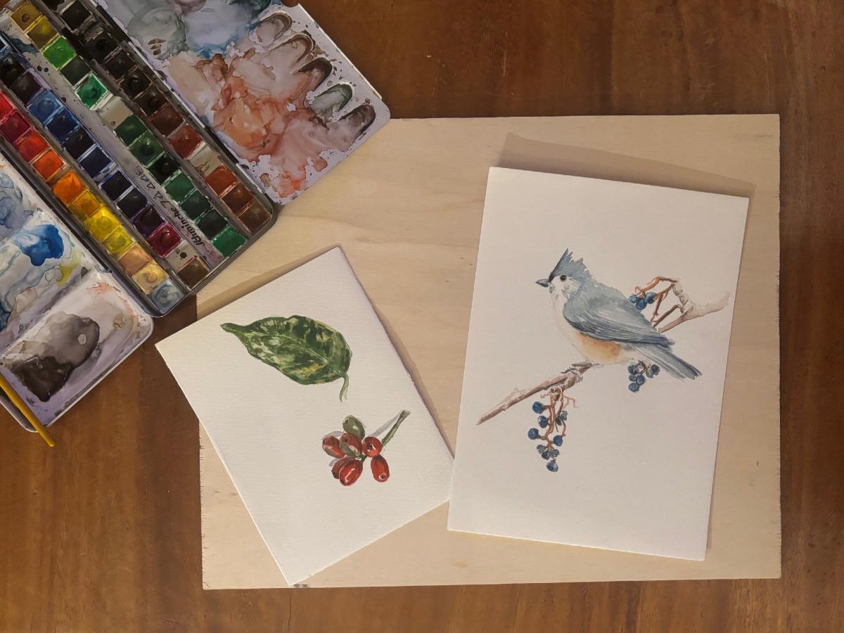 Connessioni evolutive: il Museo Friulano di Storia Naturale racconta l’evoluzione oggi - 