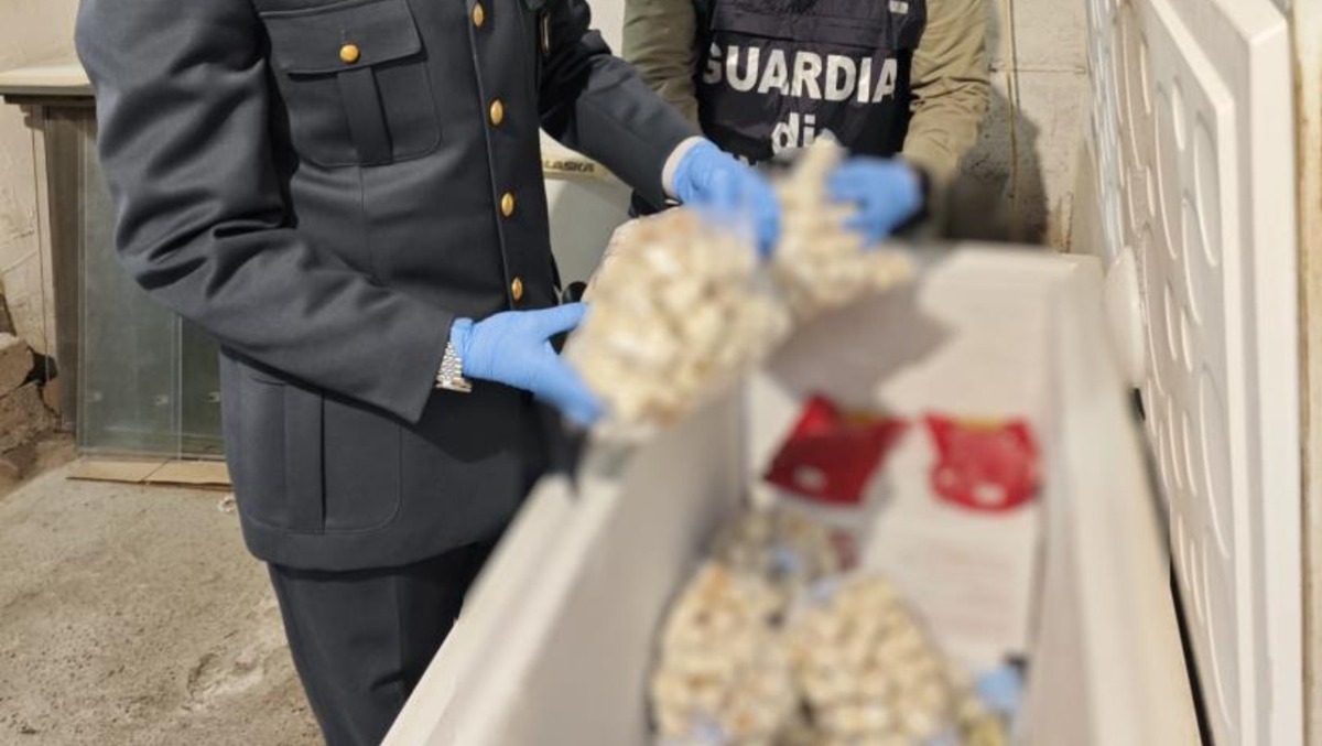 Pesce destinato a sushi senza data di scadenza: sequestrati 58kg - 