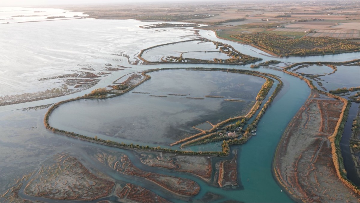Laguna di Grado e Marano, al via BRAVE: progetto da 6,8 milioni per salvare l’ecosistema - 