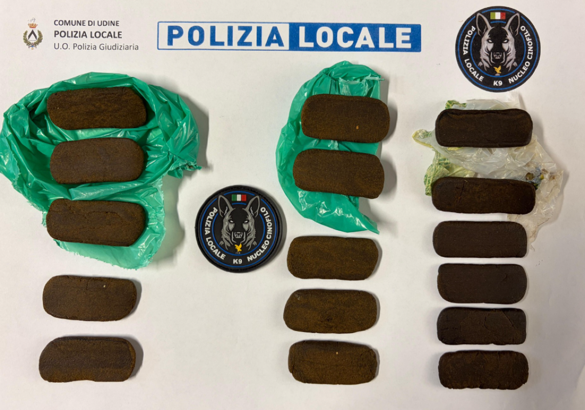 Dalle segnalazioni dei cittadini al fiuto di Gallant: scoperto hashish a Udine