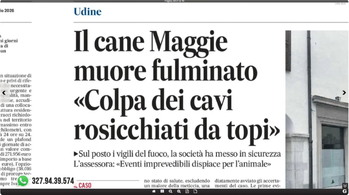 La Rassegna stampa di Nordest24, puntata di venerdì 13 febbraio 2026 | VIDEO - 
