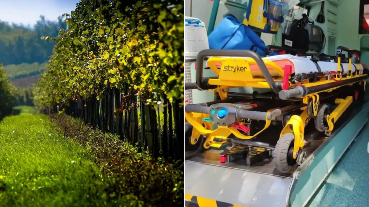 Batte la testa contro un palo di cemento in vigna: 60enne in rianimazione - 