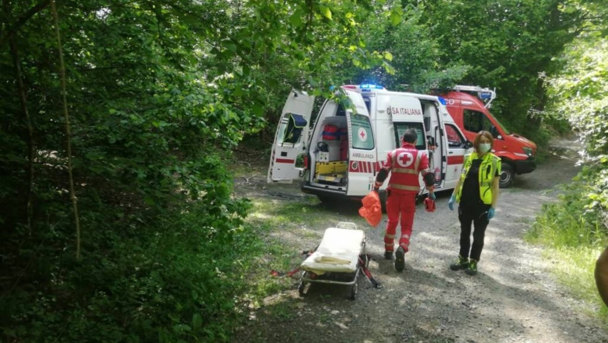 Travolto dal tronco che stava tagliando: boscaiolo muore sul colpo