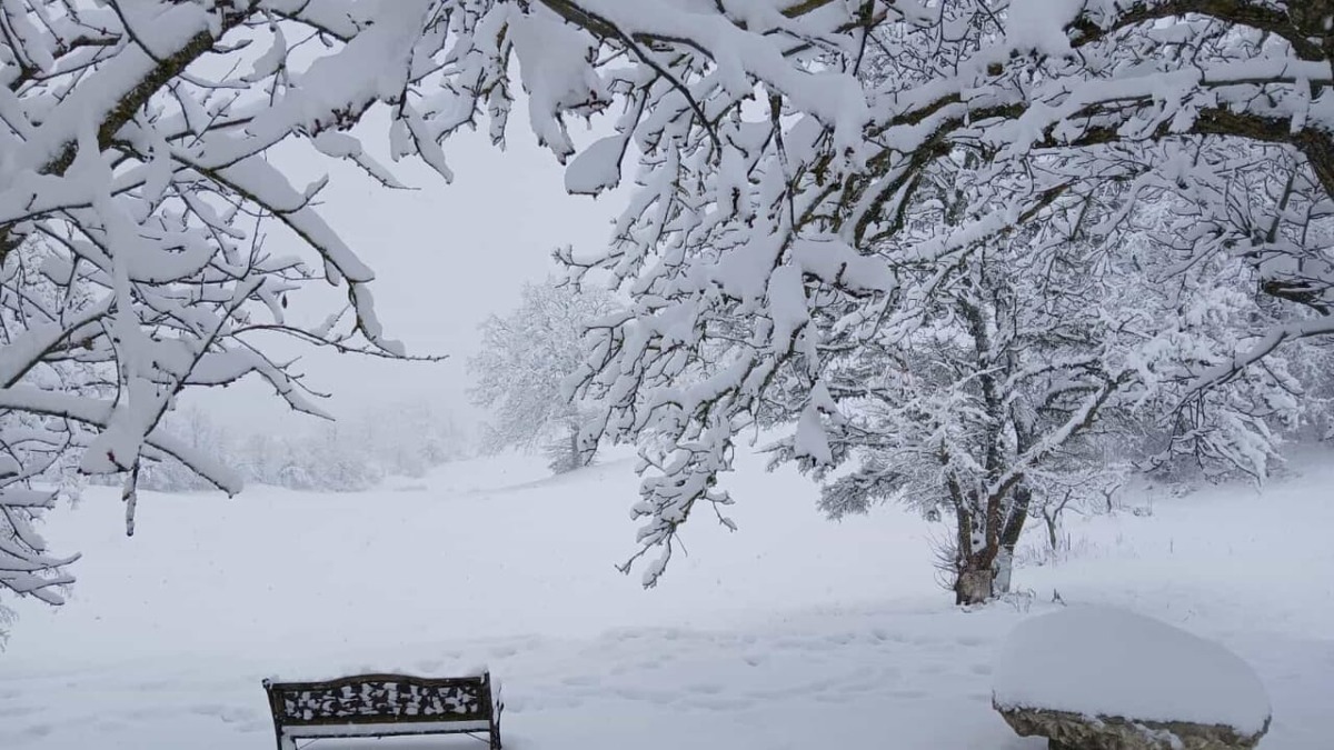Previsto quasi mezzo metro di neve in Veneto: piano potenziato per le Olimpiadi - 