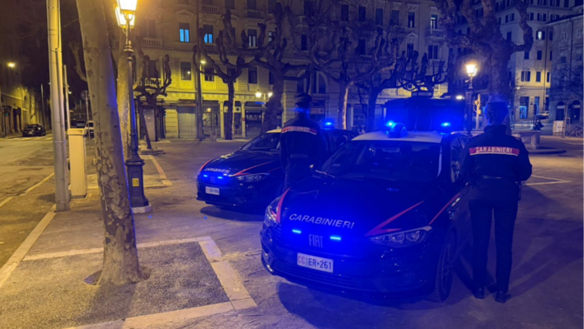 Trieste sotto controllo: Carabinieri con cani antidroga fermano spacciatori e arrestano fuggitivo - 