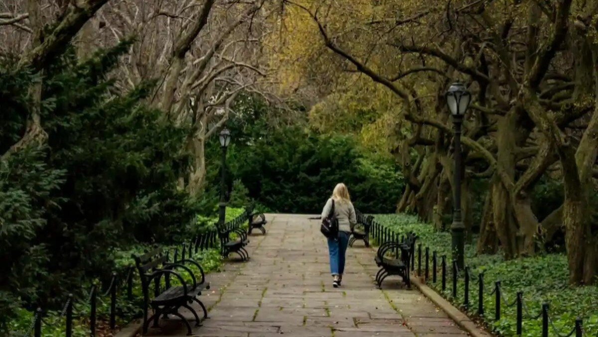 Si masturba in strada davanti alle passanti: è caccia al maniaco - 
