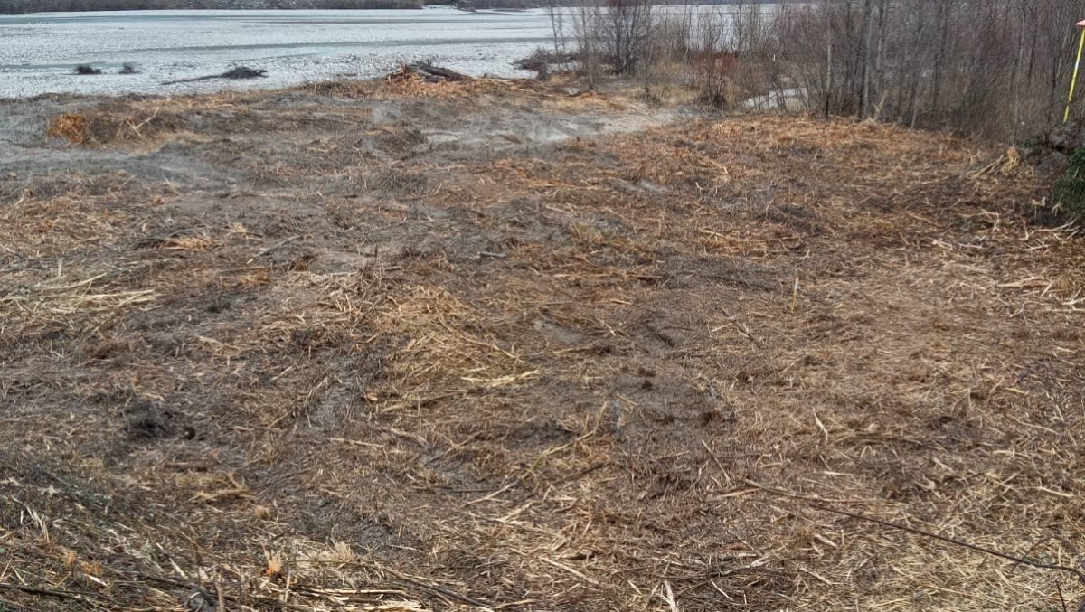 Pulizia e manutenzione nel Gemonese: azioni mirate contro il rischio esondazioni - 