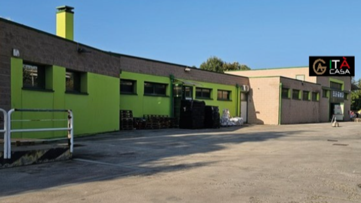 Spaccata notturna al megastore: rubati carte Pokémon e Lego per 40mila euro - 