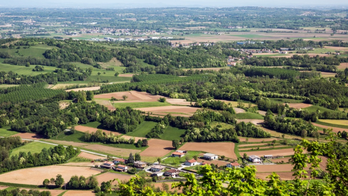 Regione FVG, più liquidità alle aziende agricole: anticipo fondi al 50% - 
