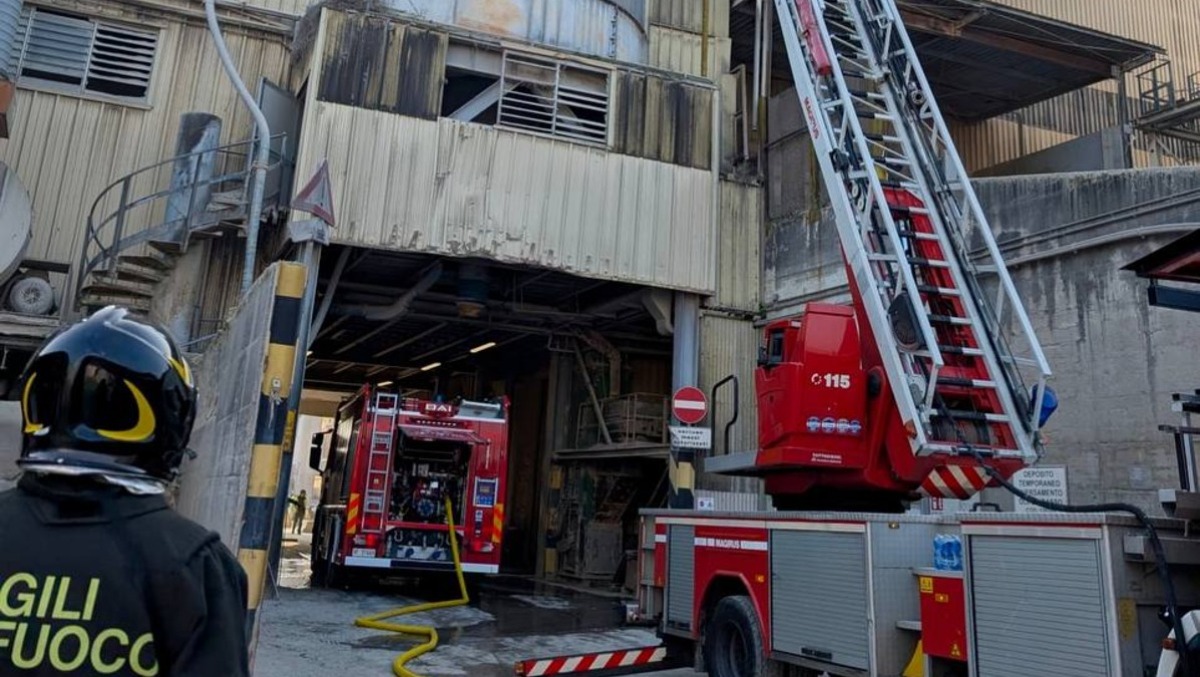 Fabbrica in fiamme: i cittadini vedono la densa nube di fumo e chiamano i pompieri - 
