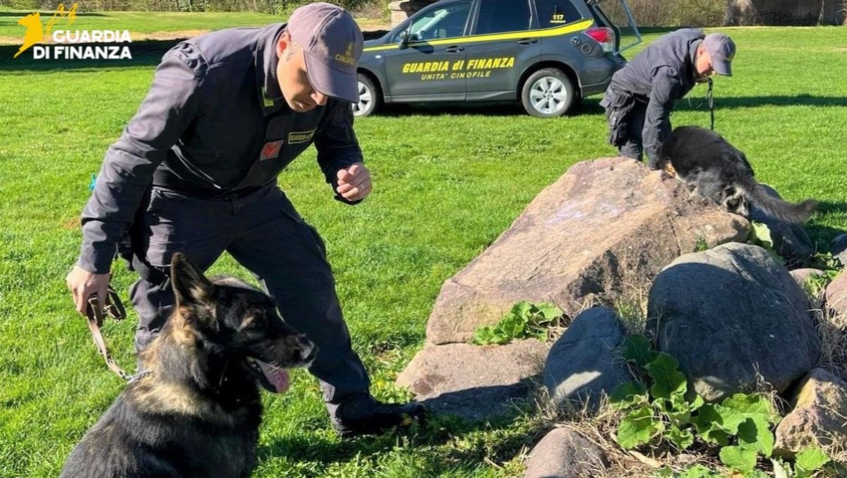 Droga nascosta negli spazi verdi per famiglie: trovato quasi un chilo e mezzo | VIDEO - 