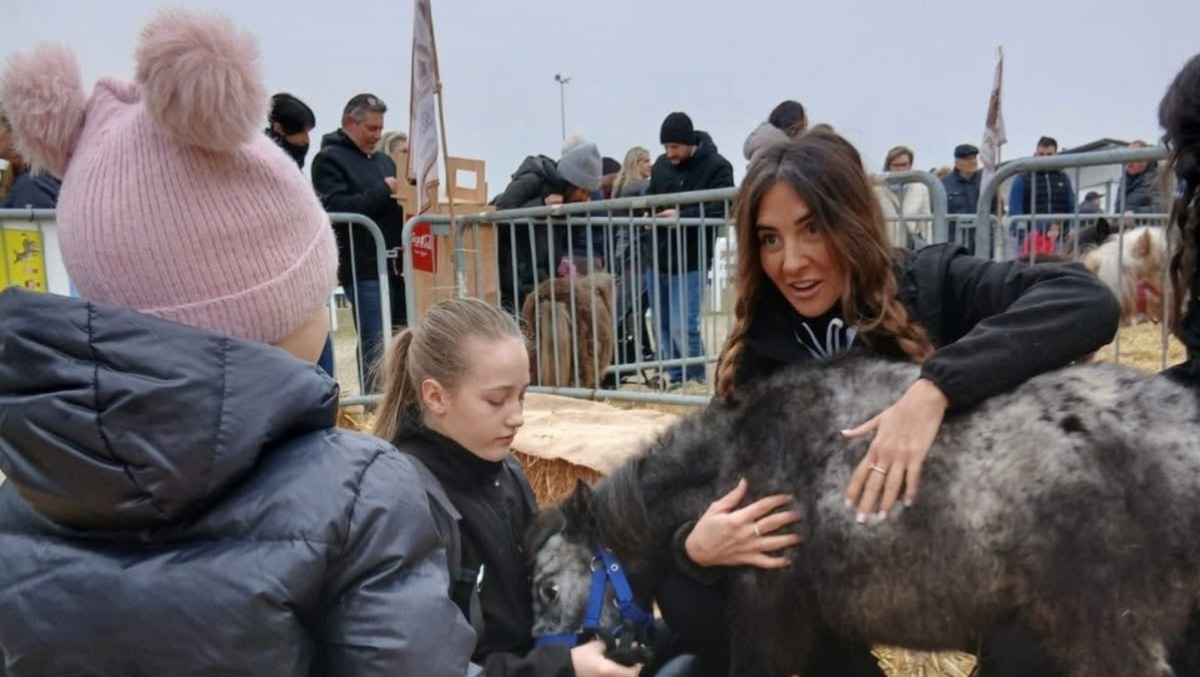 Antica Fiera di Godega, edizione da record: toccate le 100mila presenze - 