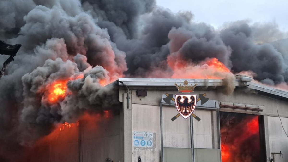 Furioso incendio in una stalla: centinaia di tori morti tra le fiamme - 