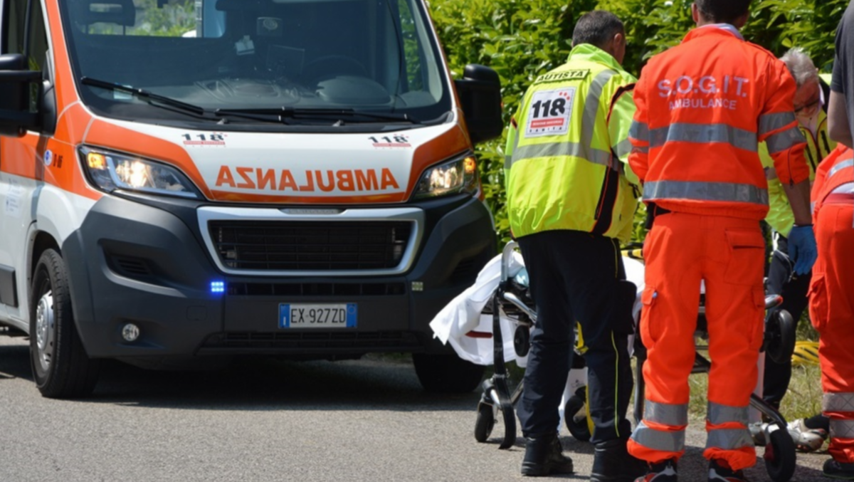 Sale su un albero per potarlo, ma il ramo si spezza: precipita e muore sul colpo - Immagine di repertorio