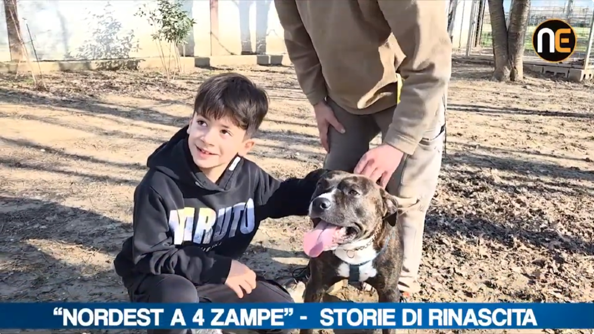 "Nordest a 4 Zampe", terza puntata dalla Cuccia ODV di Staranzano | VIDEO - 
