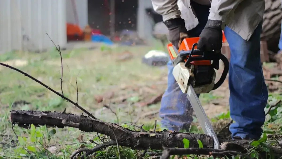 Lite tra vicini degenera: 49enne minaccia una famiglia con la motosega - 