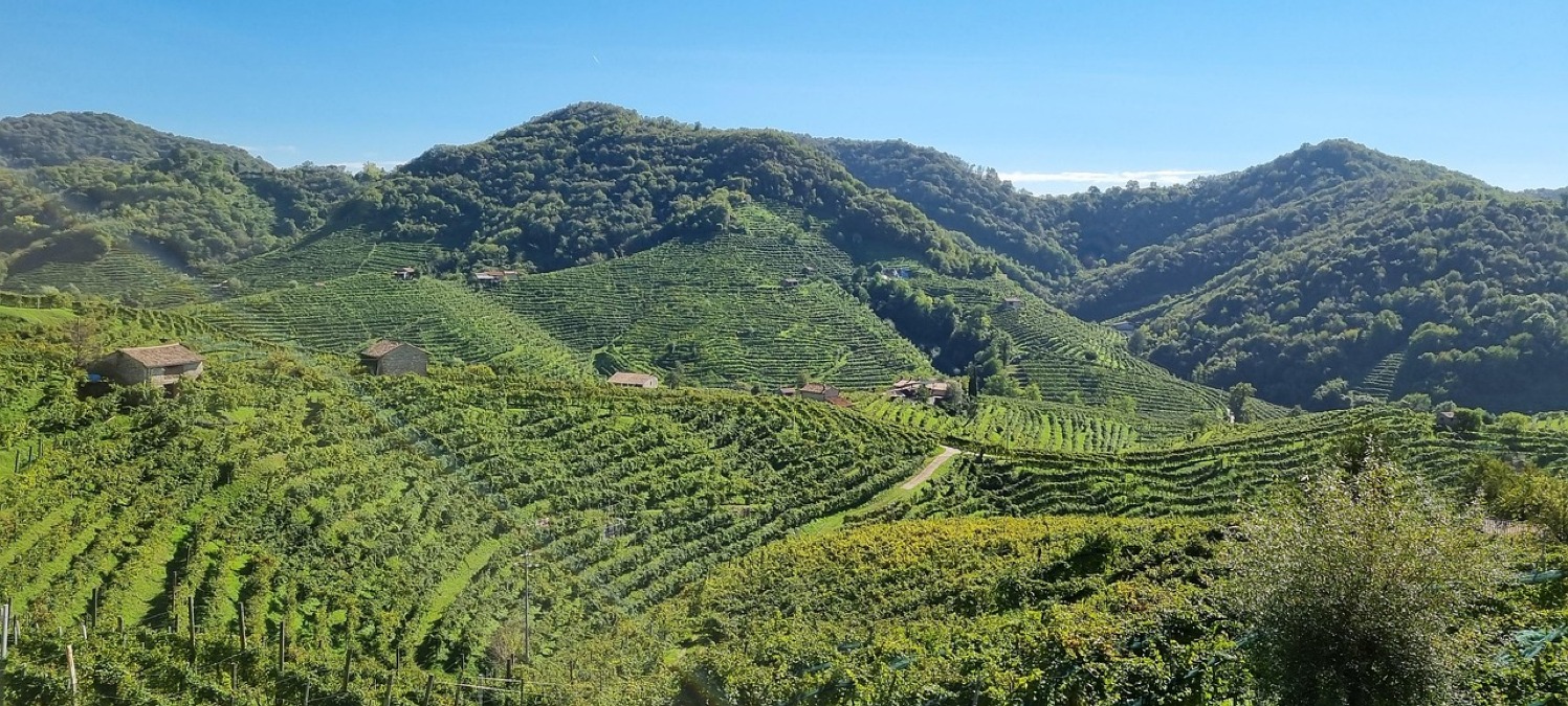 Valdobbiadene, voli panoramici in elicottero per la Festa della Donna - 