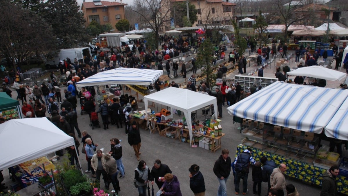 Blessano in festa: torna la storica Mostra Ornitologica tra animali, sapori e musica - 