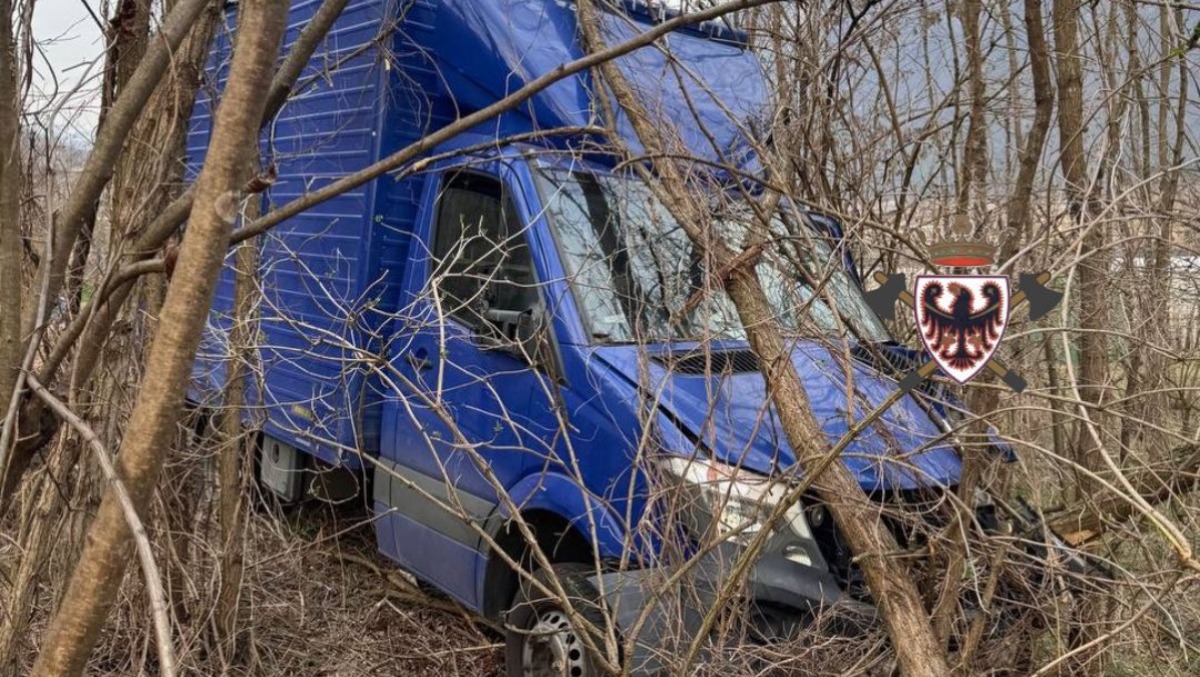 Furgone esce di strada e finisce nel boschetto: autista miracolato | FOTO - 