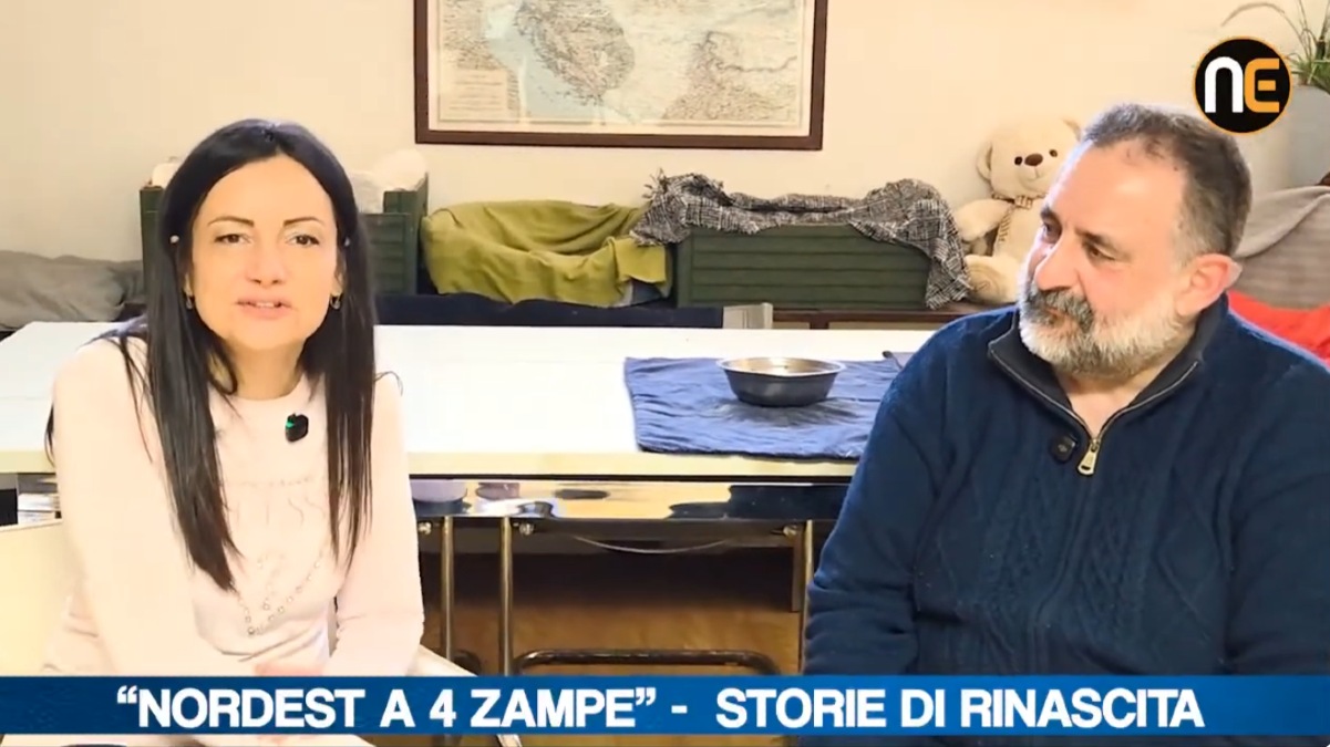 Nordest a 4 zampe, emozioni e impegno nella 4ª puntata: protagonista Zampette Cormonesi | VIDEO - 
