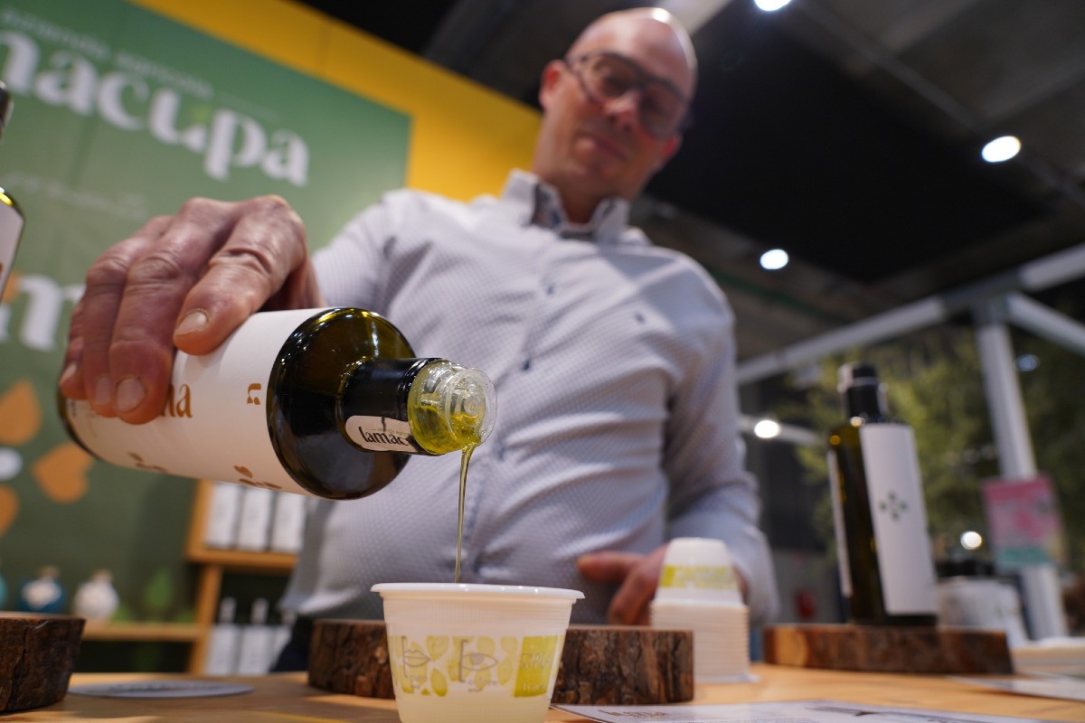 Olio Capitale torna a Trieste: tre giorni dedicati all’extravergine di qualità - 