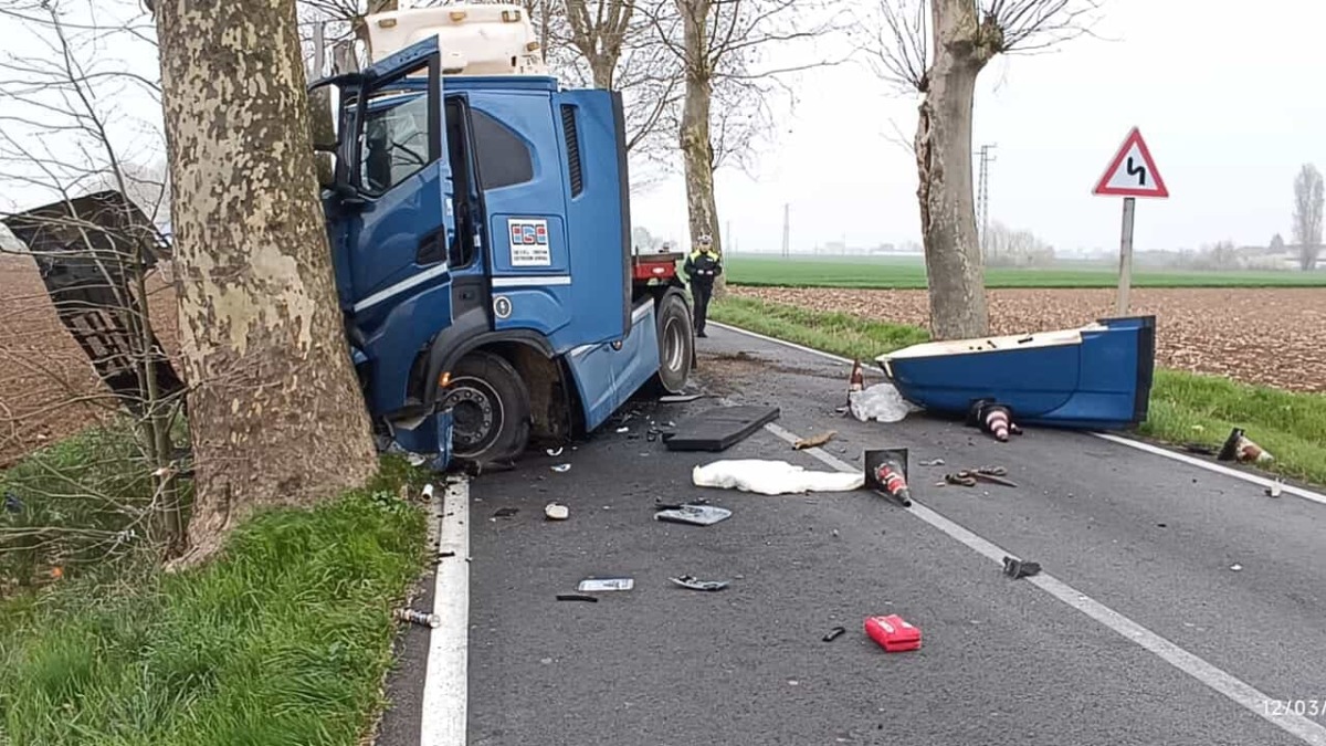 Tir si schianta contro un albero sulla Provinciale: miracolato l'autista  - 
