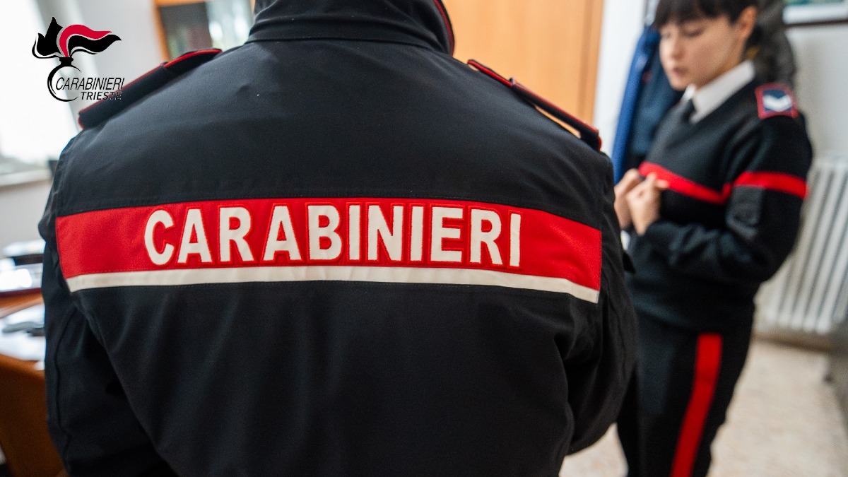Si finge farmacista per rubare in cassa: arrestata - 