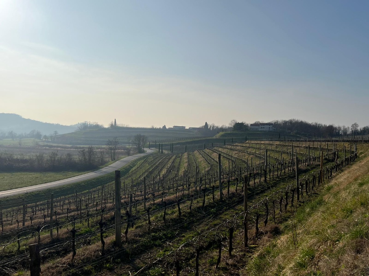 Biciclette, musica e memoria sul confine: ecco l'evento culturale tra Italia e Slovenia - 