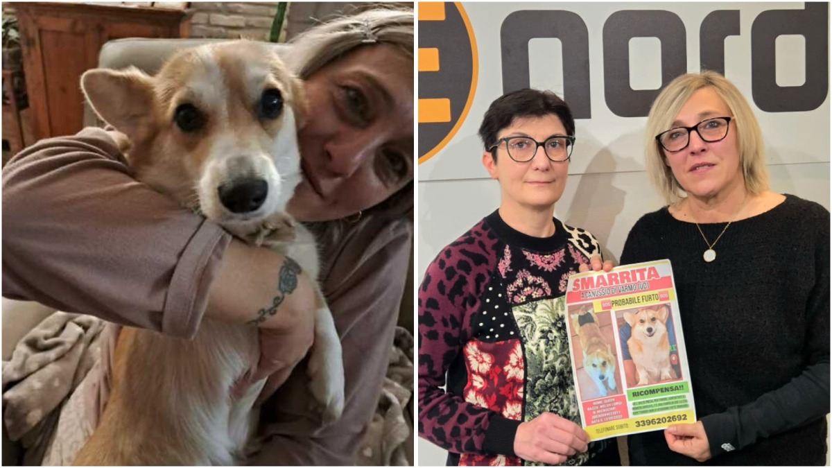 Dall'appello a Nordest24 alla notizia che tutti speravano: «La mia Queen è stata ritrovata» - A destra l'appello in una puntata di Nordest24