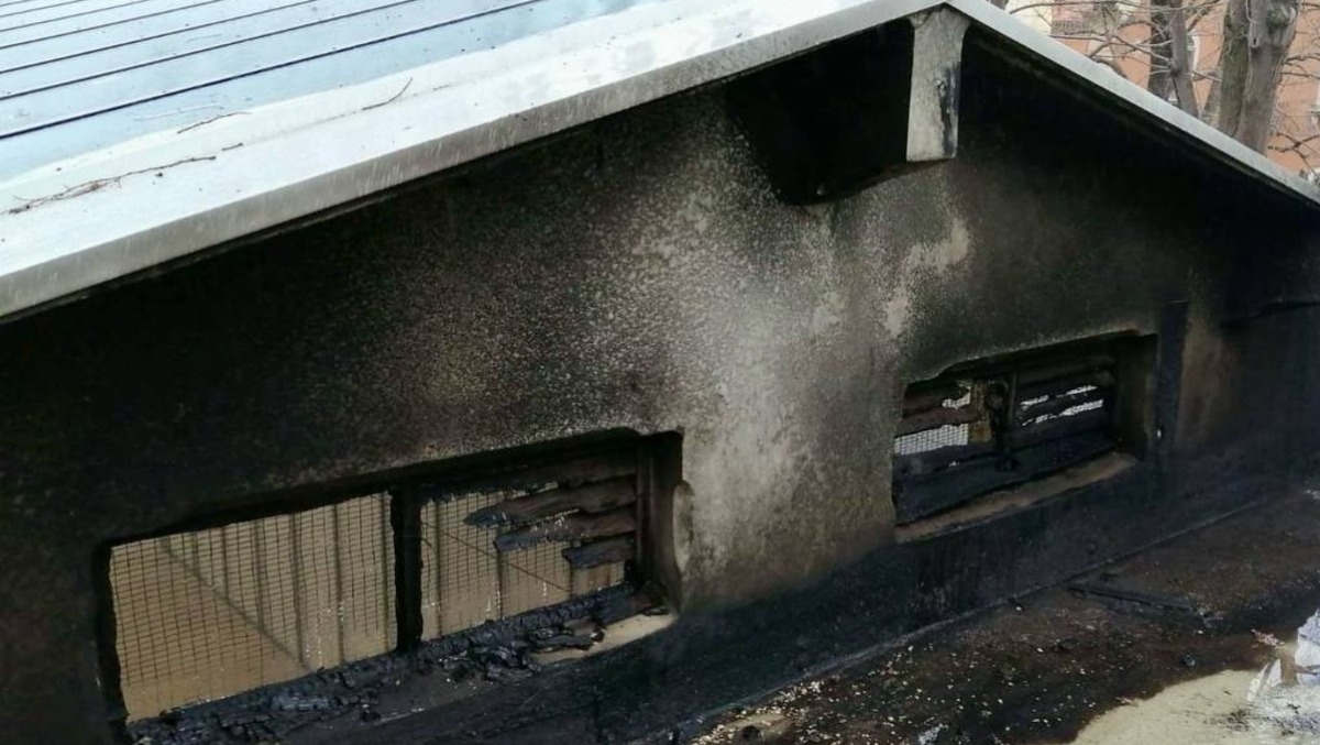 Fiamme alla Biennale di Venezia: incendio sul tetto del padiglione Serbia | FOTO - 