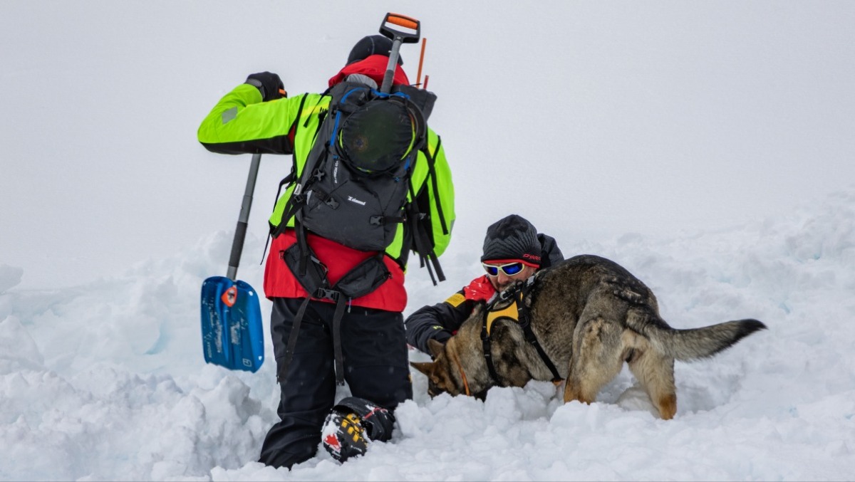 Cortina, al via il corso nazionale per i nuovi cani-eroi sulla neve - 