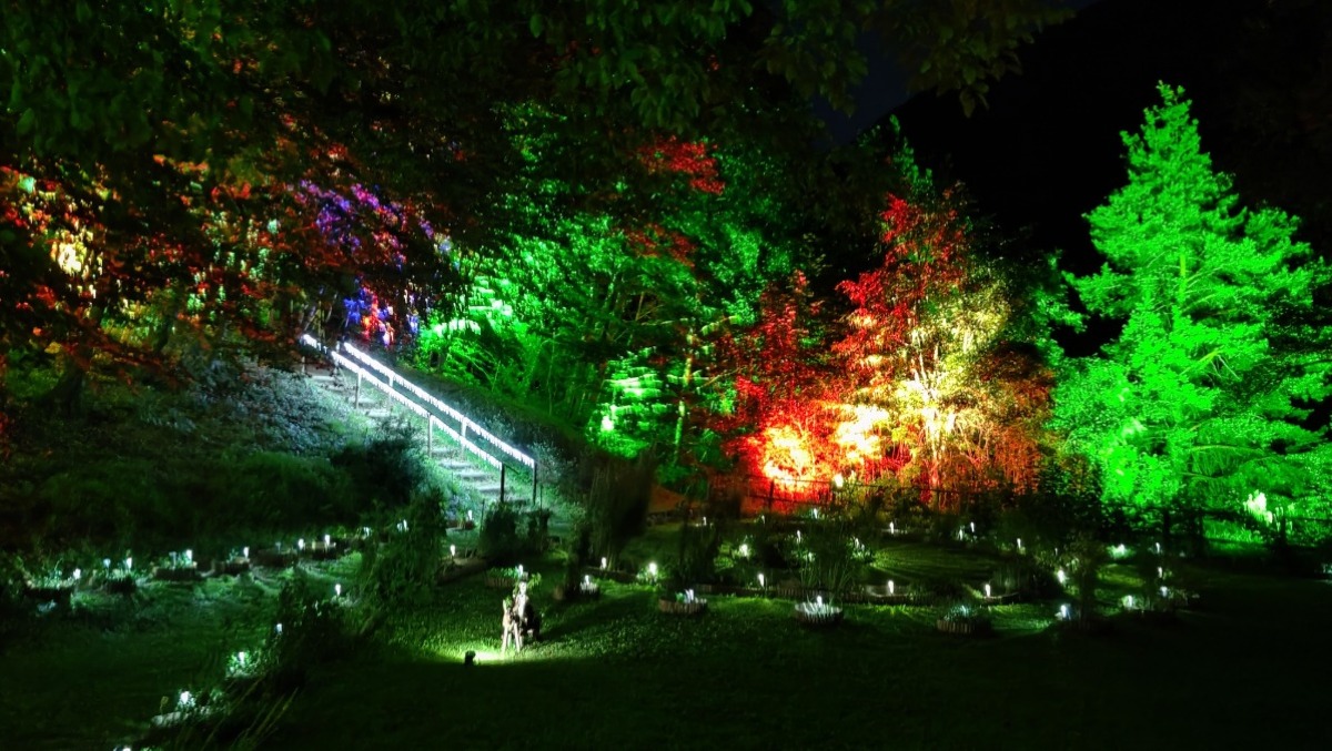 Bosco incantato in Friuli: Lumina Milia inaugura la nuova stagione | GALLERY - 