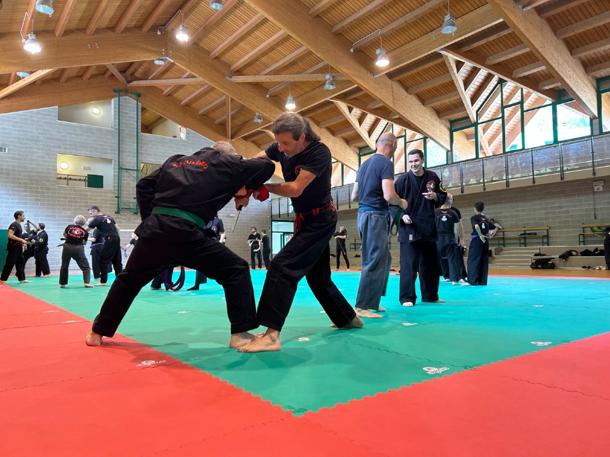 Claut capitale delle arti marziali: arriva il seminario con maestri di alto livello - 