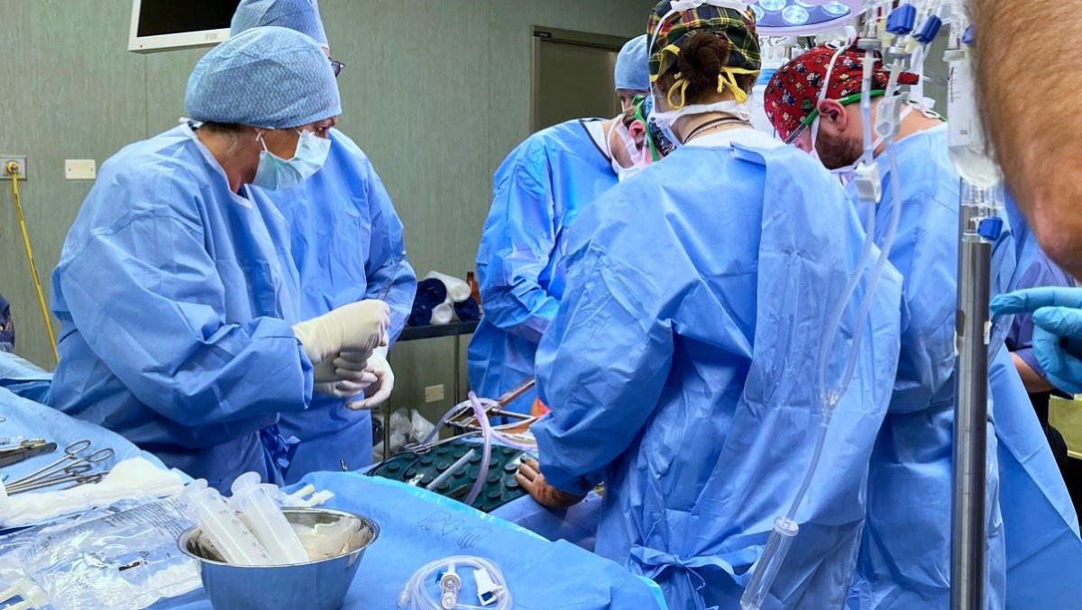 Portogruaro, doppia donazione di organi in ospedale: 12 ore senza sosta per salvare altre vite - 